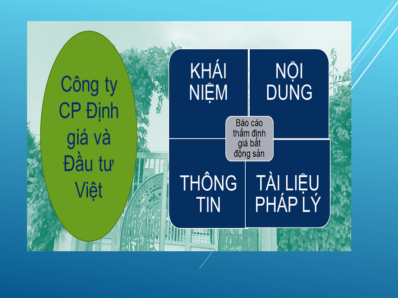 Báo cáo thẩm định giá VIV 