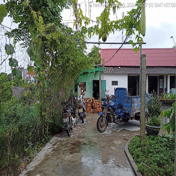 thâm định giá VIV nhanh chóng 