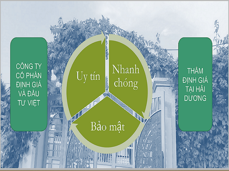 viv thẩm định giá nhanh chóng tại hải dương 