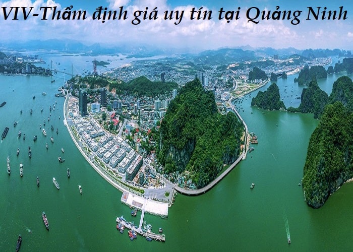 VIV thẩm định giá tại quảng ninh 