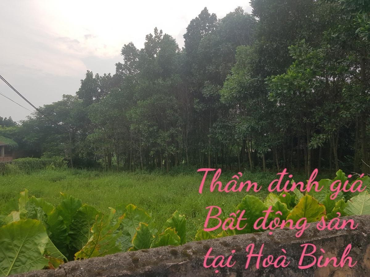 tham dinh gia bat dong san tai hoa binh