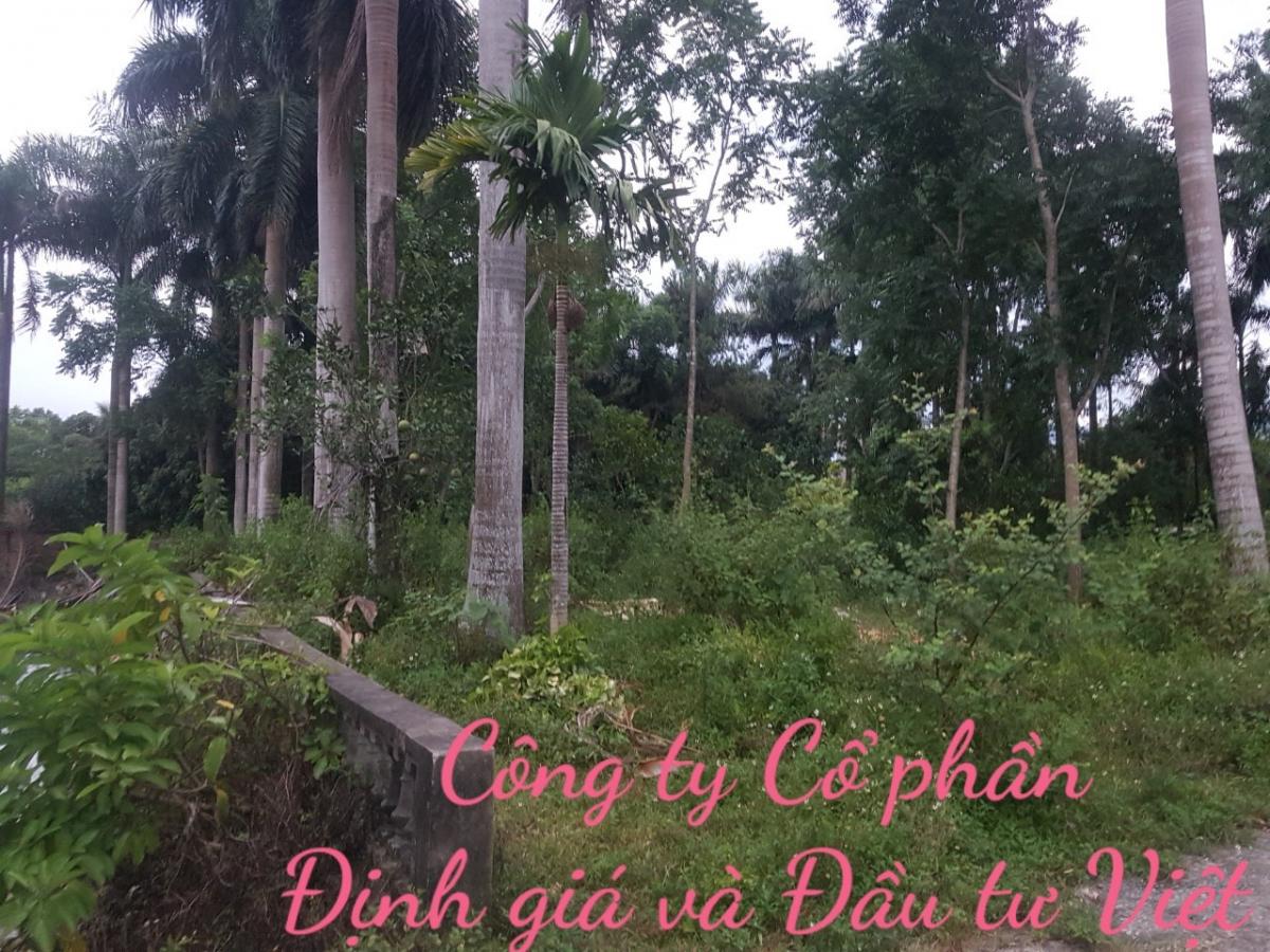 tham dinh gia bat dong san tai hoa binh